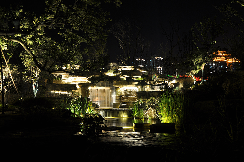 DSC_0328.JPG DSC_0328.JPG