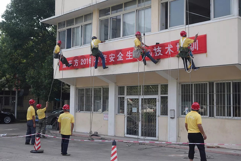 下载.webp (9).jpg