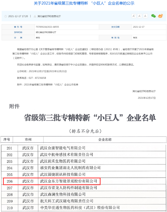 金东方荣获湖北省专精特新“小巨人”企业称号