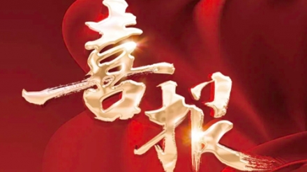 喜报 | 金东方通过“湖北省专精特新中小企业”复核